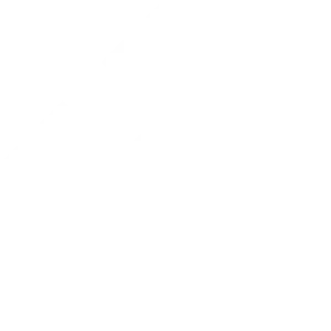 Favicon Hoogendoorn wit
